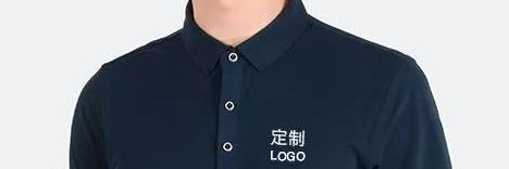 2025�������Polo����׌�����ɞ��^ȥʽ