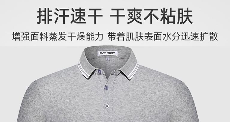 ���������@��Polo�����i������w�(y��n)